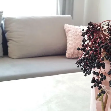 Apartamento Royals Flower Iii Cracóvia